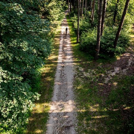 Hotel Scoiattolo Baselga di Pine Bagian luar foto