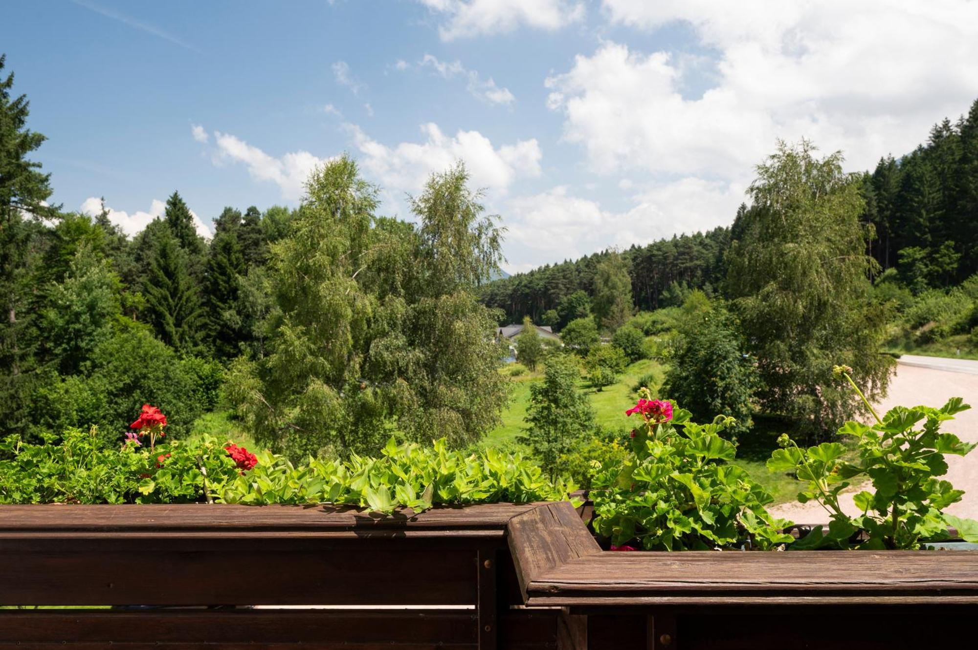 Hotel Scoiattolo Baselga di Pine Bagian luar foto